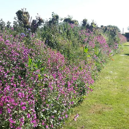 Kemping Polborder Holidays Country Park 2*